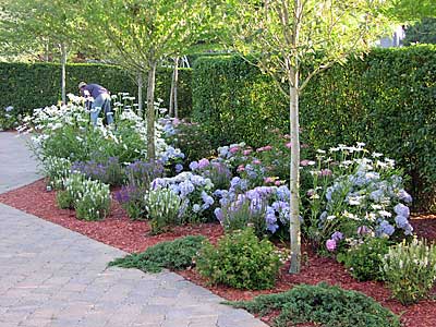 Beautifully Landscaped